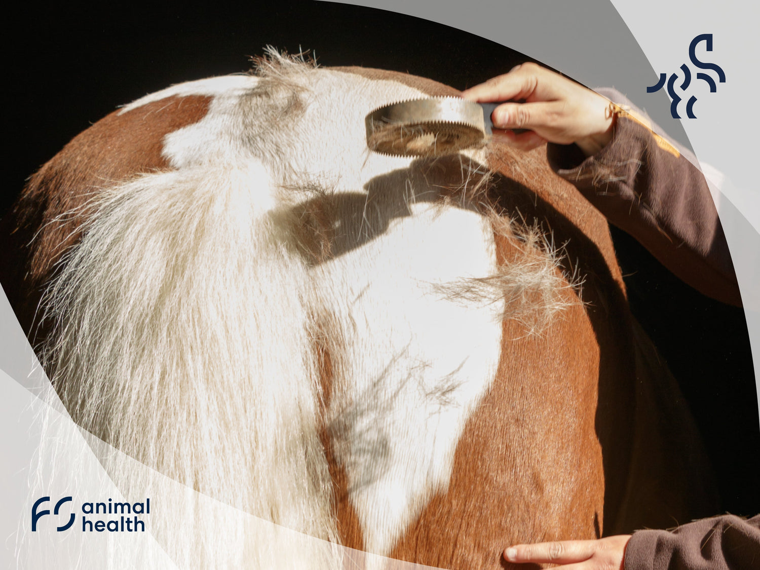 Stoffwechsel und Mineralstoffversorgung