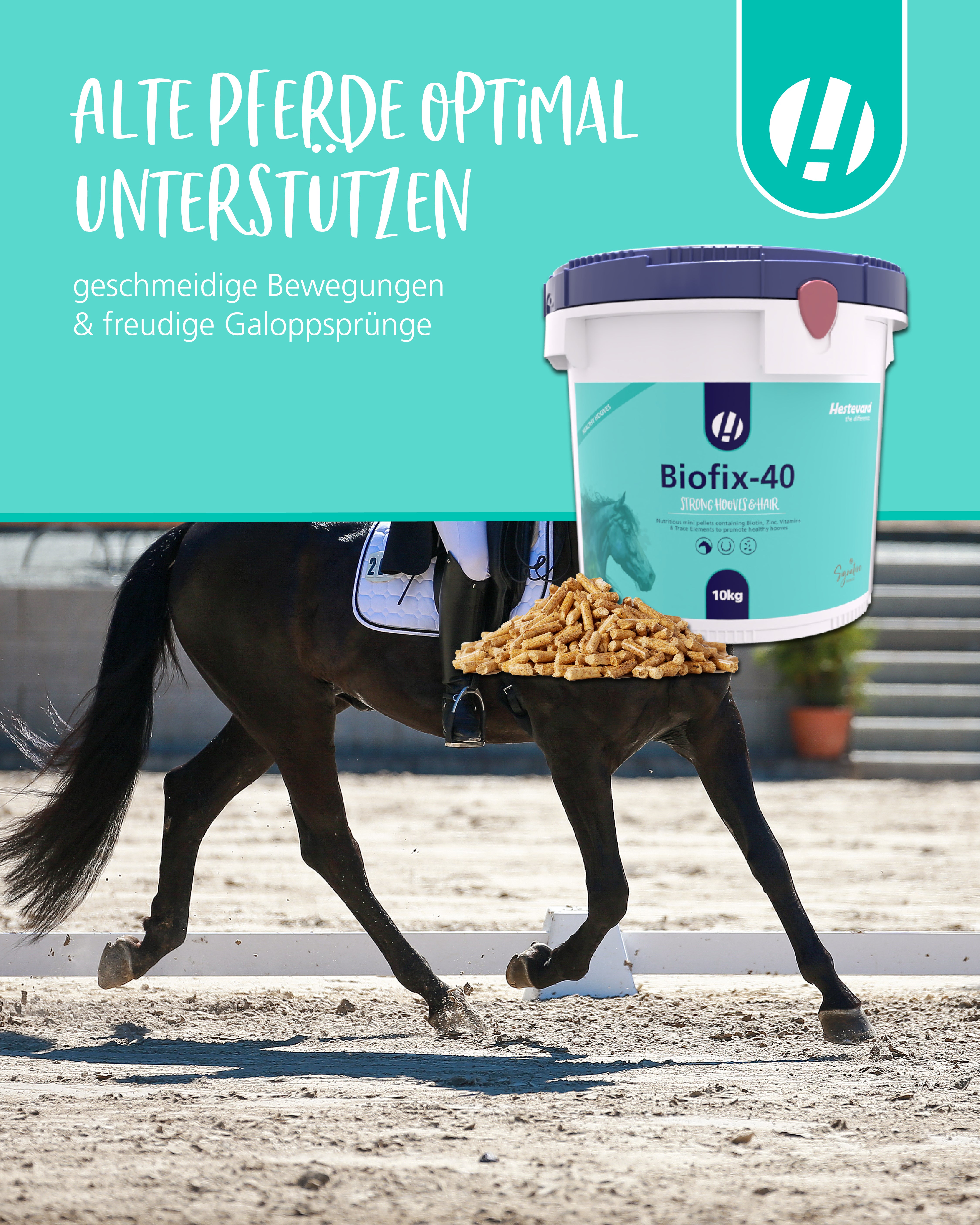 Hestevard Biofix-40