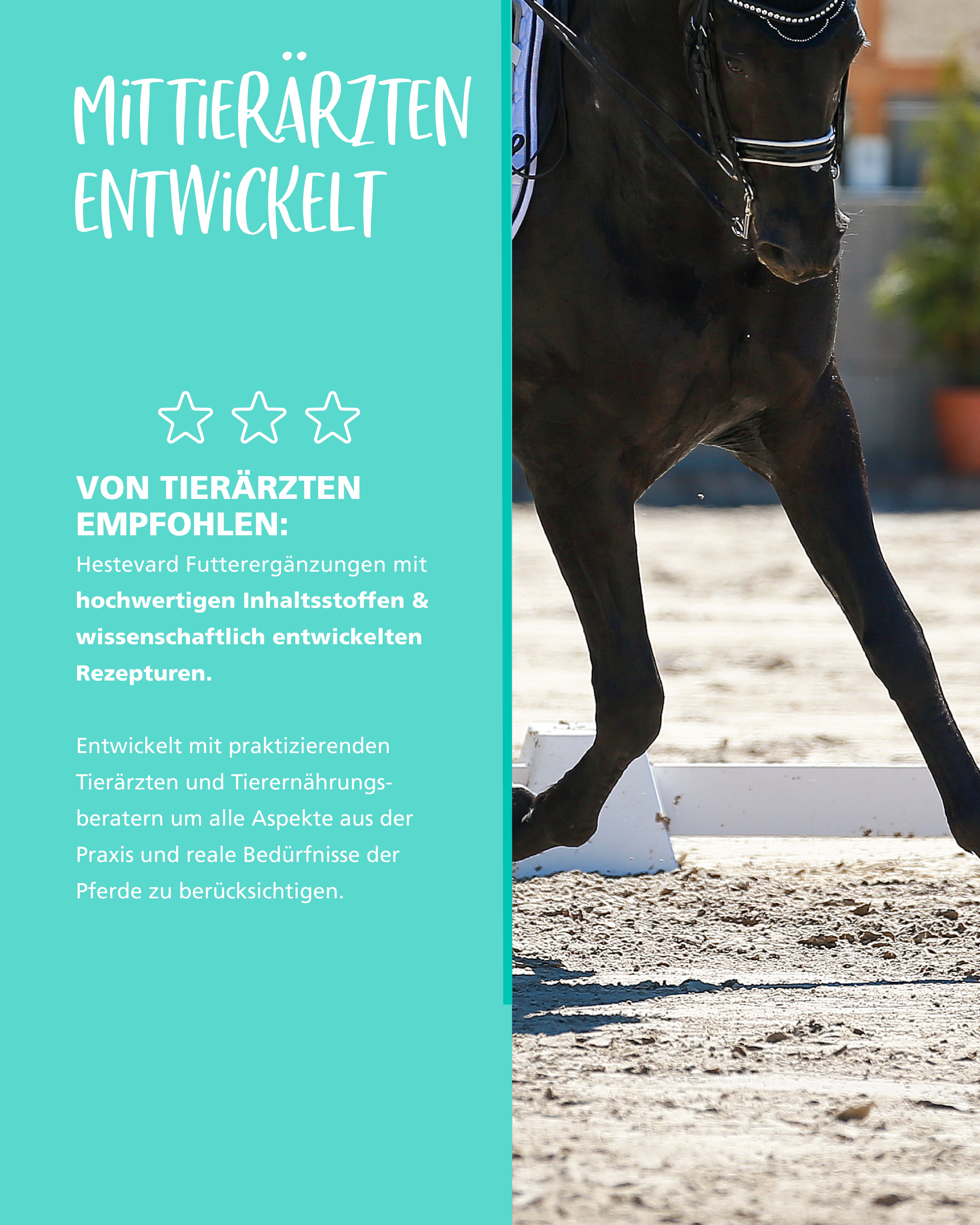 Hestevard Biofix-40