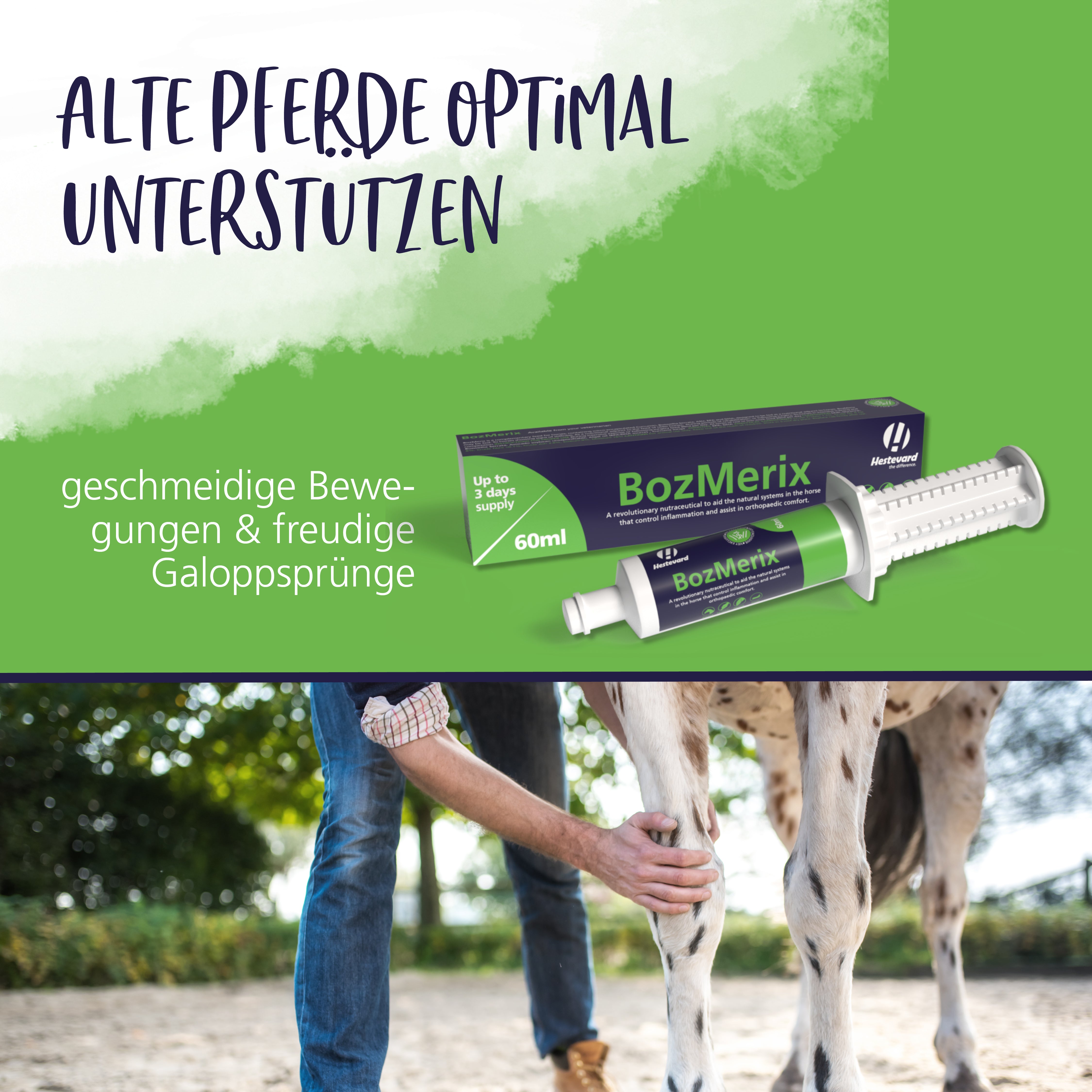 Hestevard BozMerix Pâte 60ml