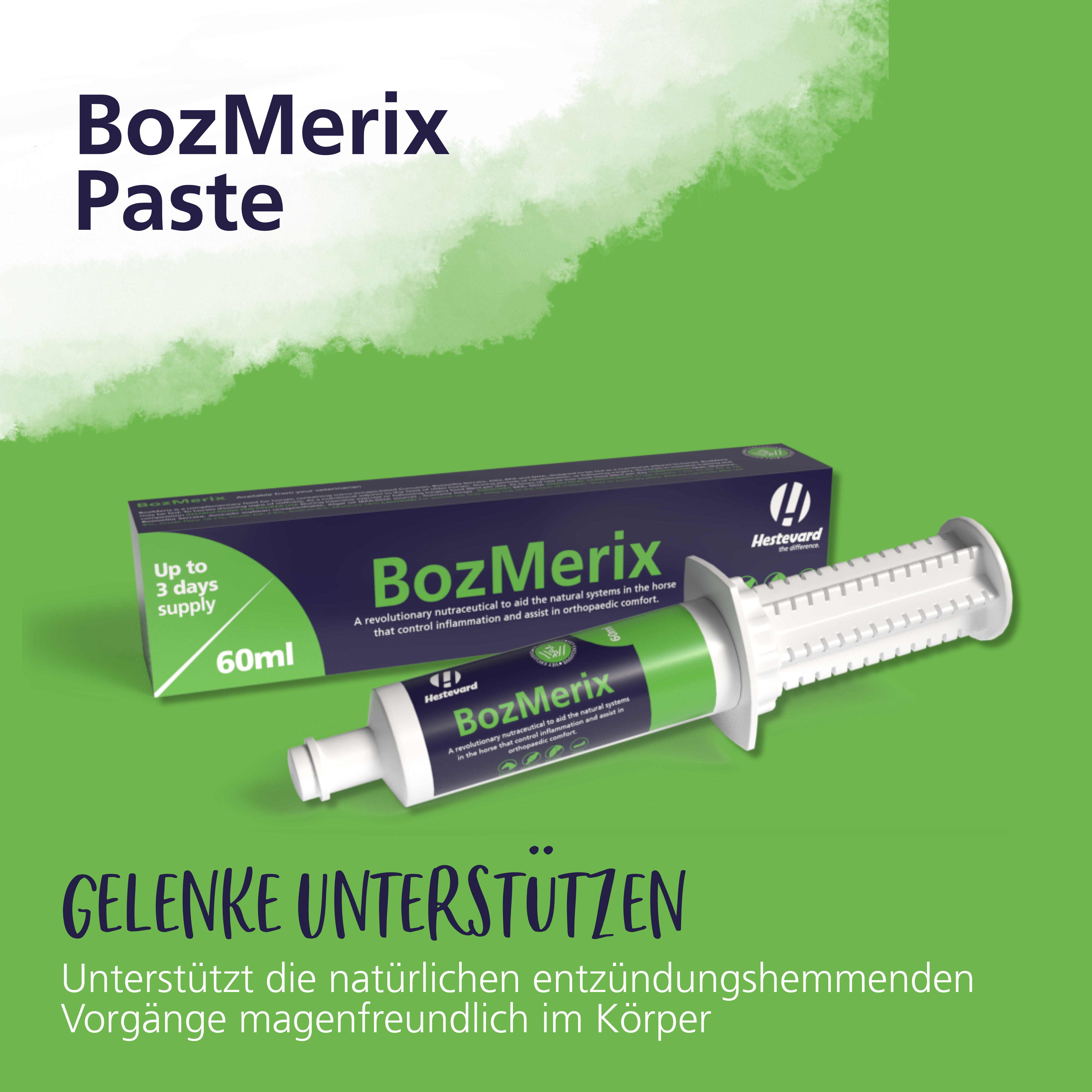 Hestevard BozMerix Pâte 60ml