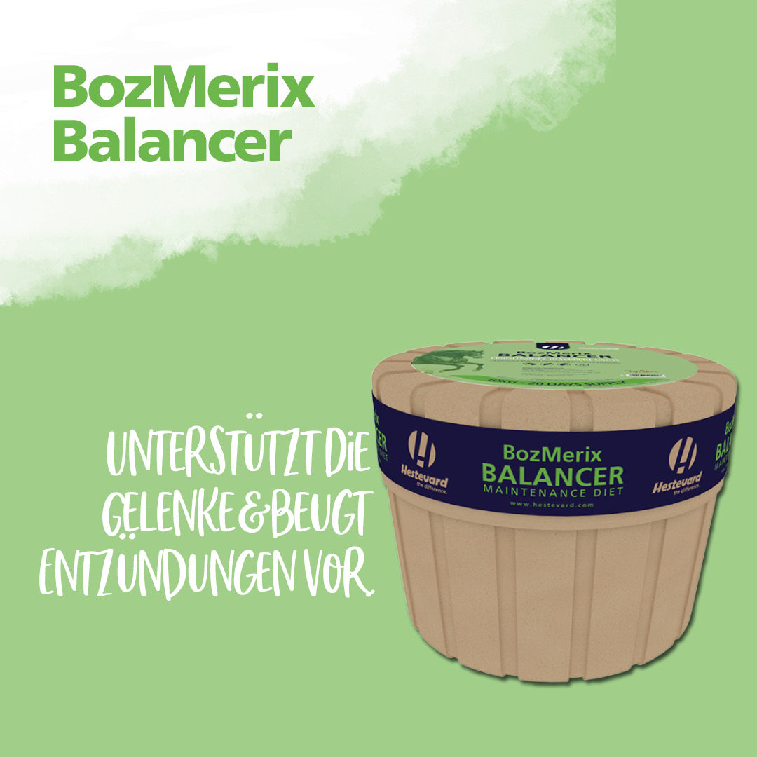 Hestevard BozMerix Balancer Kraftfutter 10kg