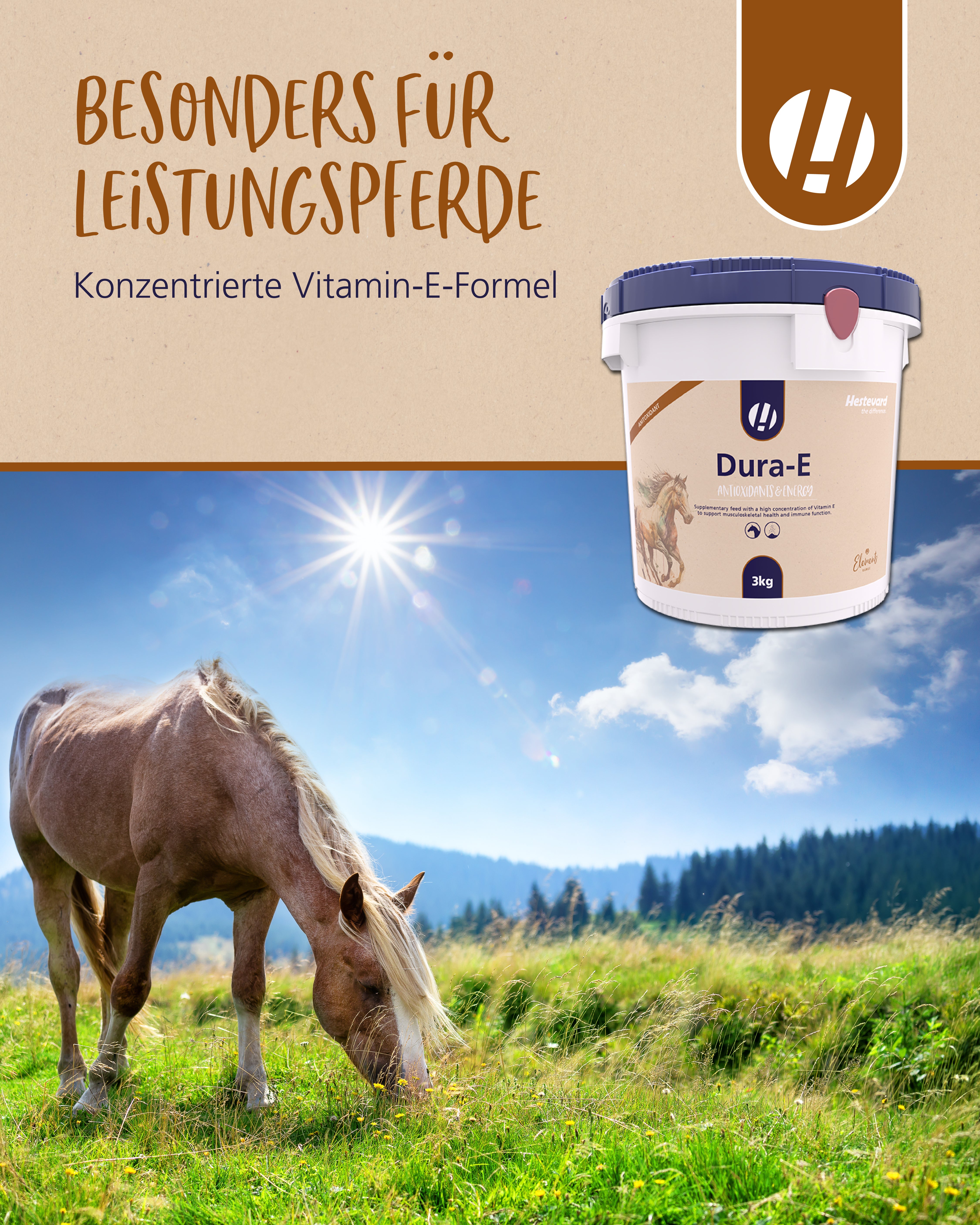 Hestevard Dura-E