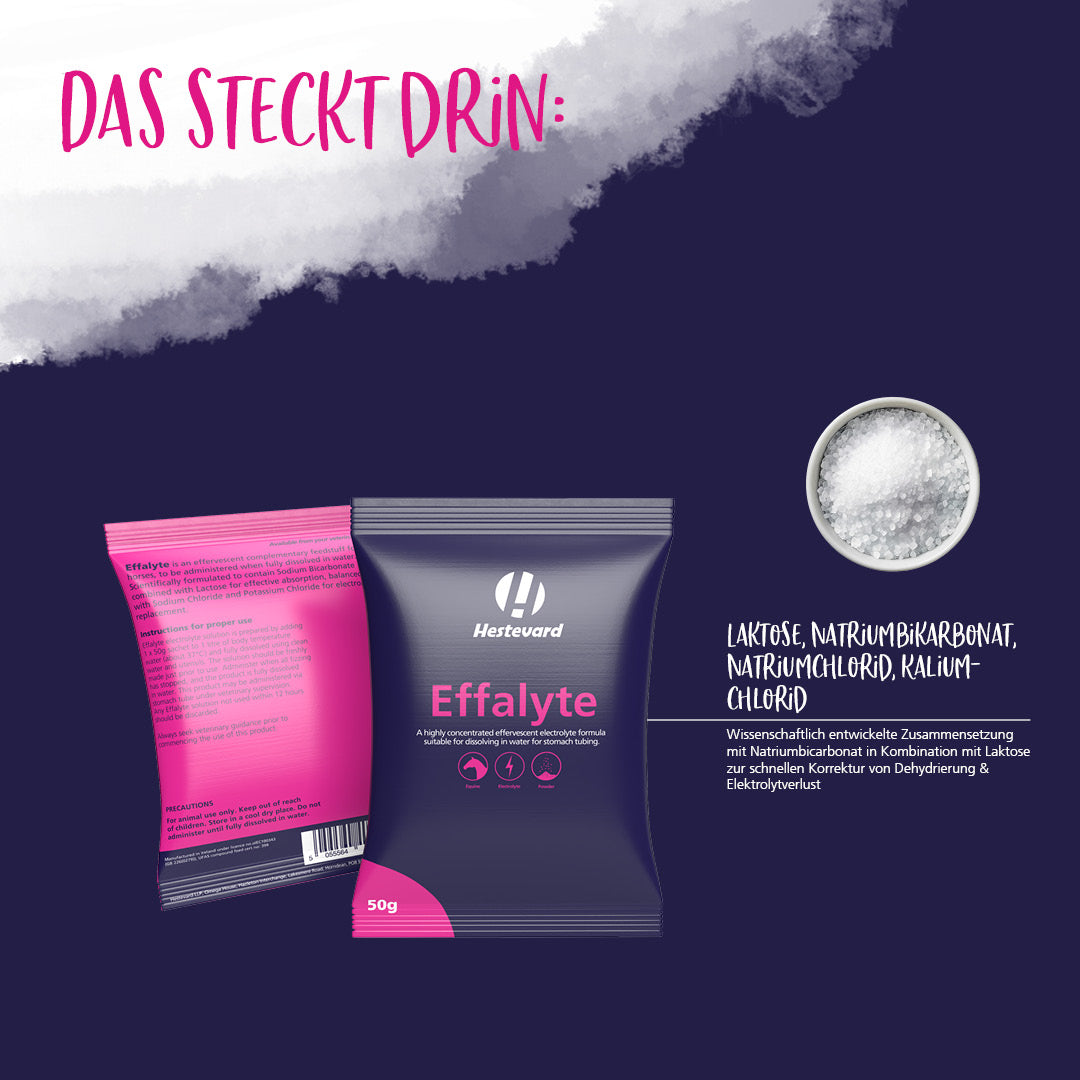 Hestevard Effalyte 14 x 50g