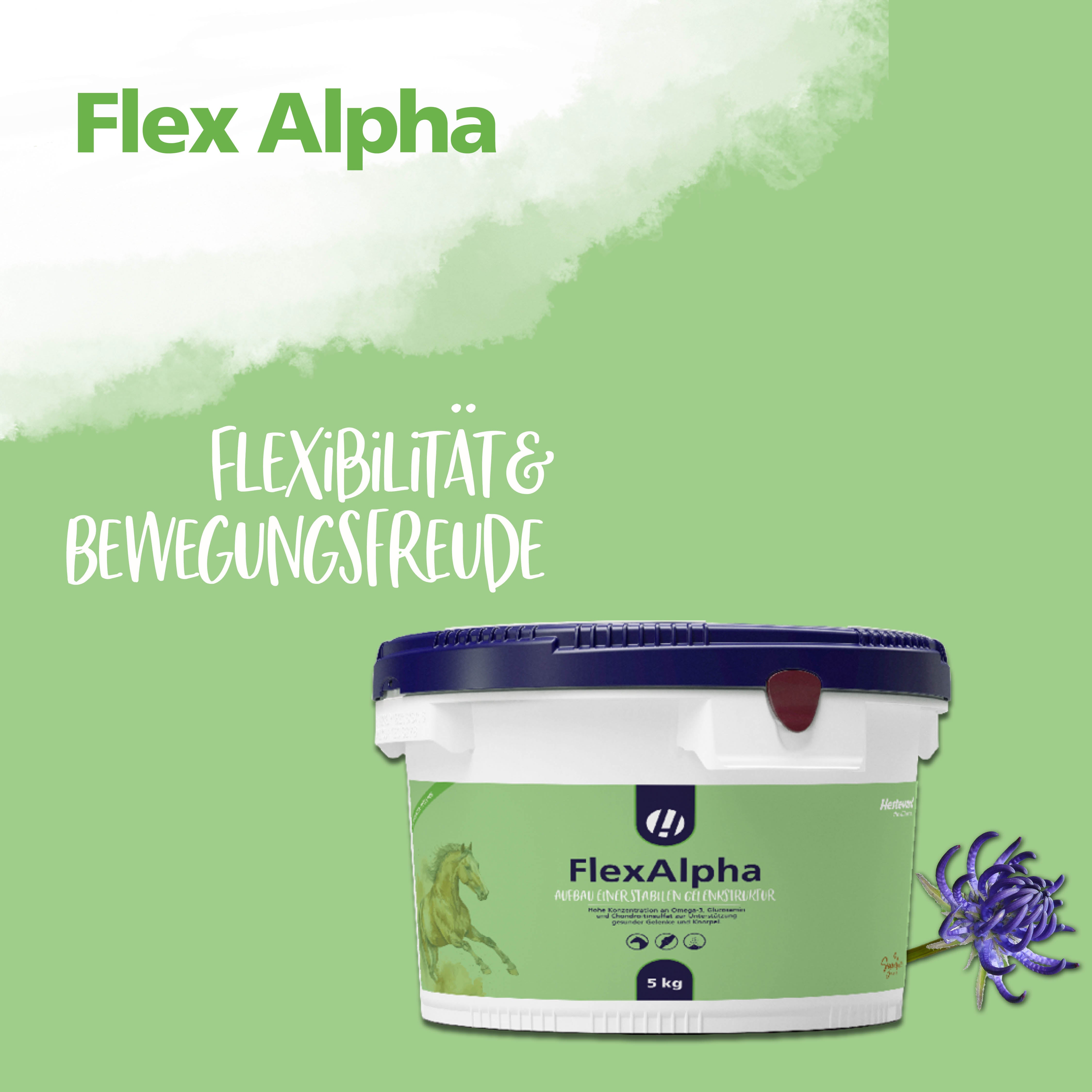 Hestevard FlexAlpha Pulver