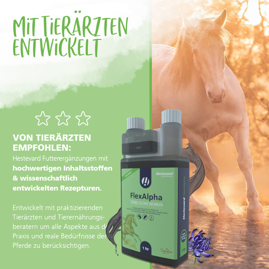 Hestevard FlexAlpha