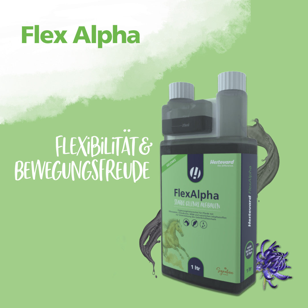 Hestevard FlexAlpha