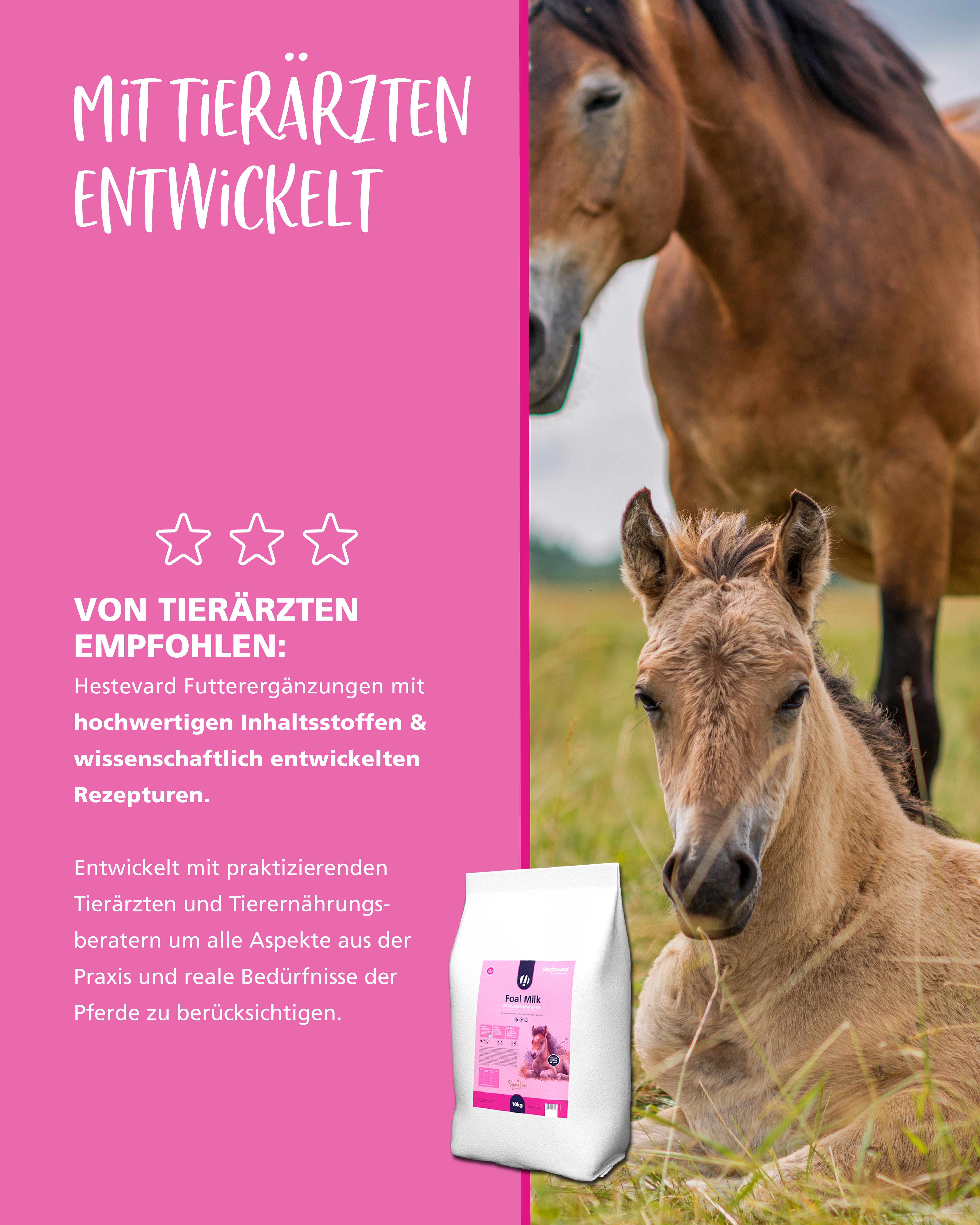 Hestevard Fohlenmilch Pulver
