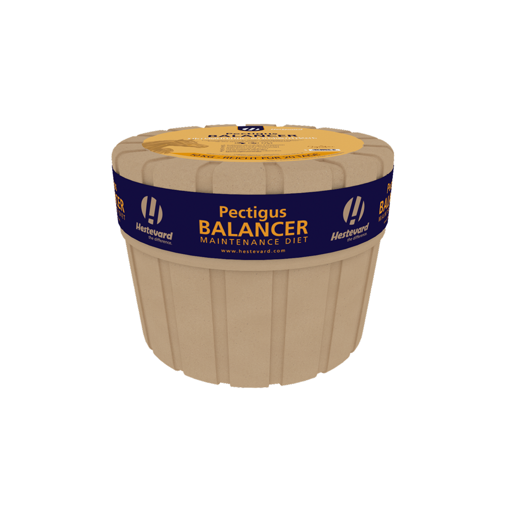 Hestevard Pectigus Balancer Maintenance Diet 10kg