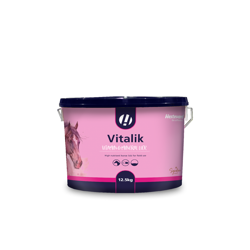Hestevard Vitalik 12.5kg