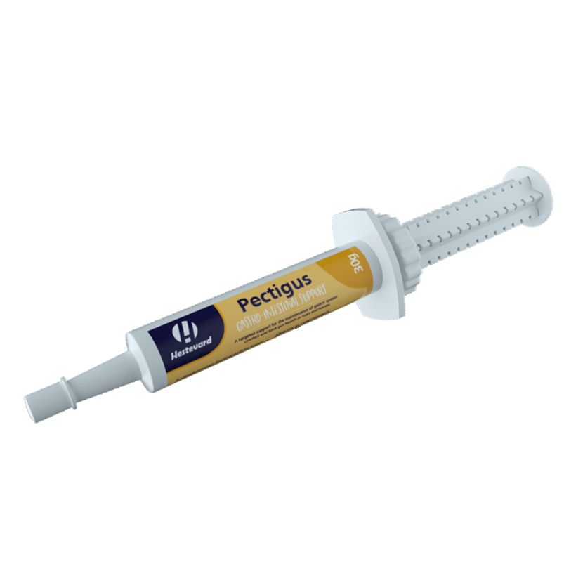 Hestevard Pectigus Paste