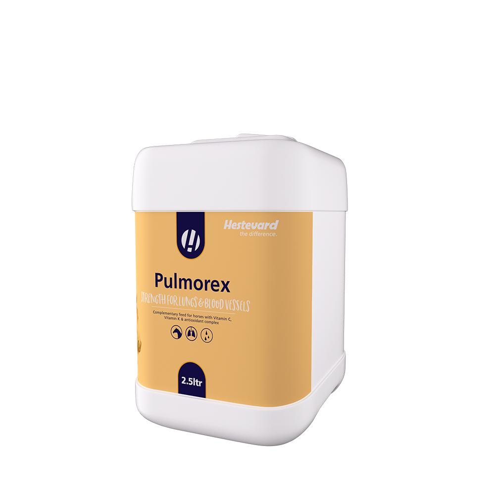 Hestevard Pulmorex