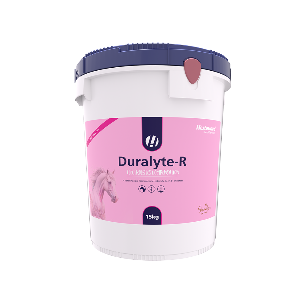 Hestevard Duralyte-R