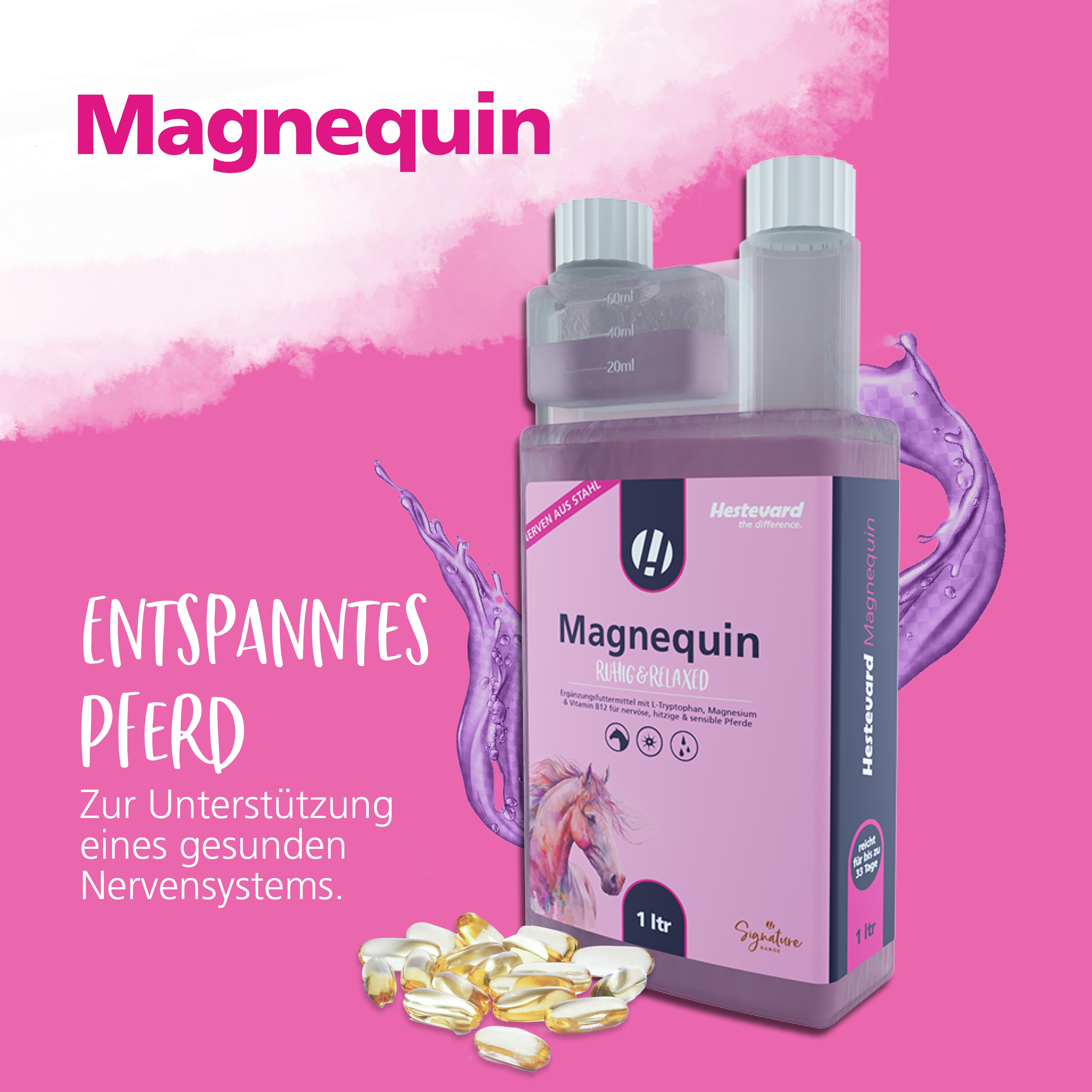 Hestevard Magnequin