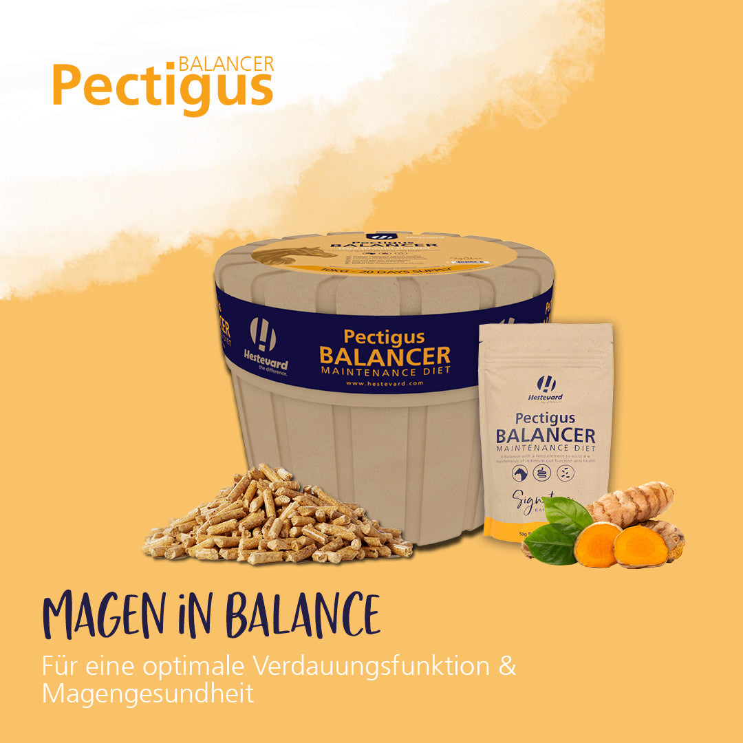Hestevard Pectigus Balancer Maintenance Diet 10kg