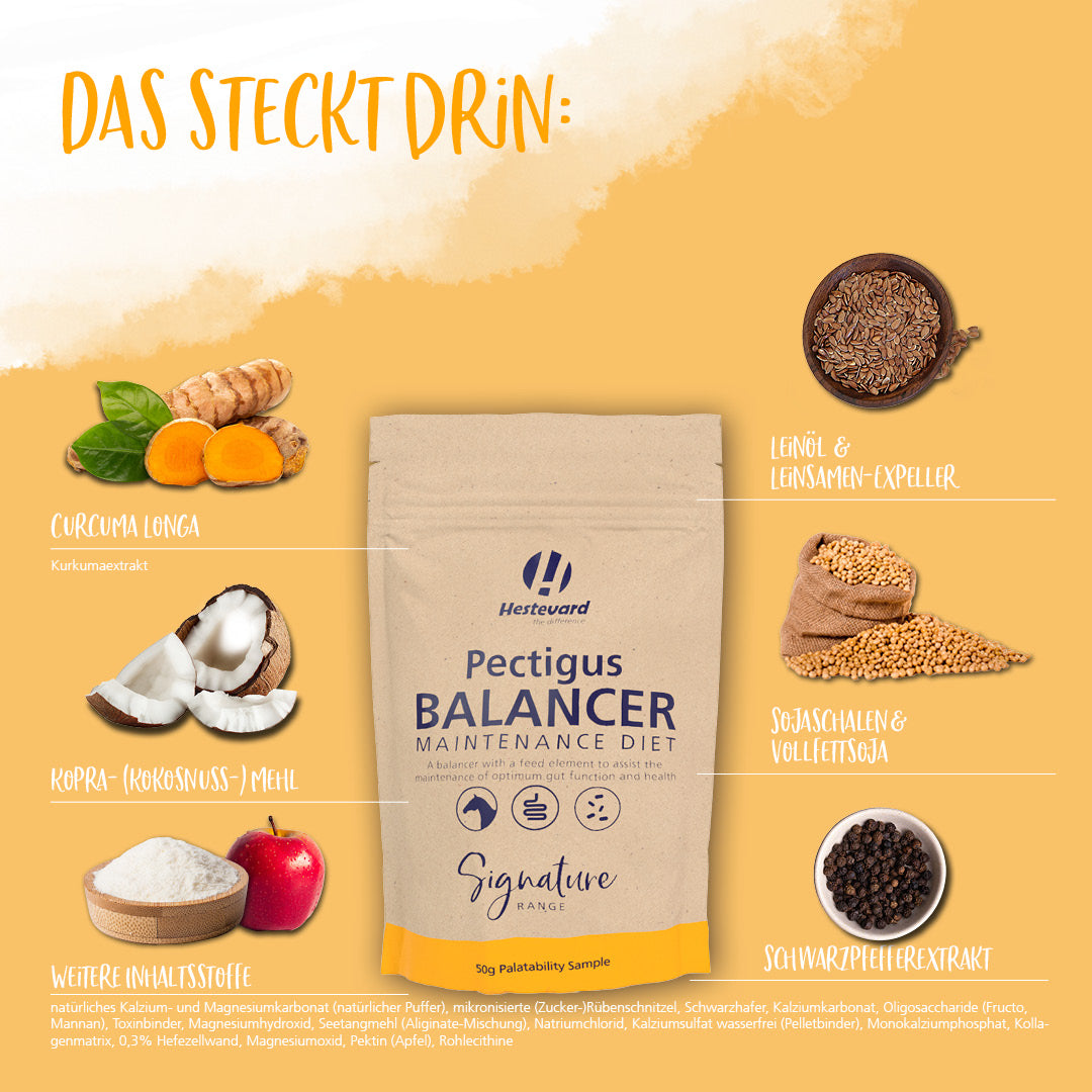 Hestevard Pectigus Balancer Maintenance Diet 10kg