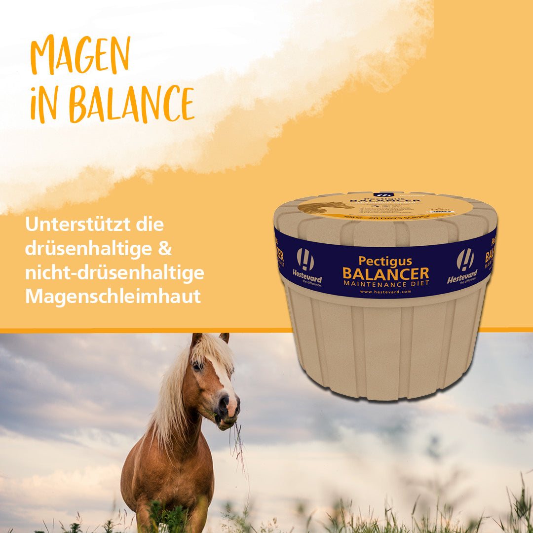 Hestevard Pectigus Balancer Maintenance Diet 10kg