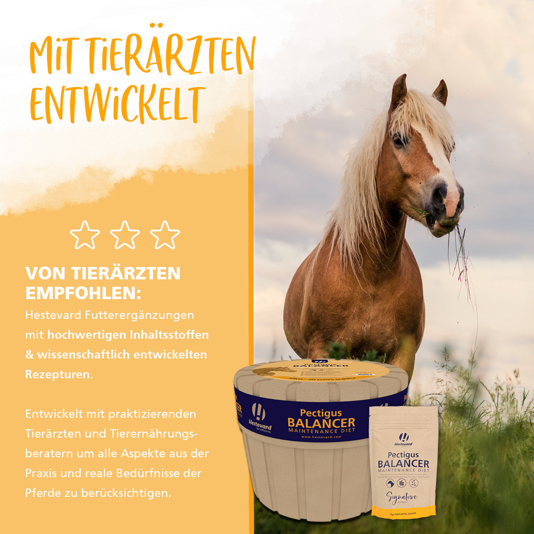 Hestevard Pectigus Balancer Maintenance Diet 10kg