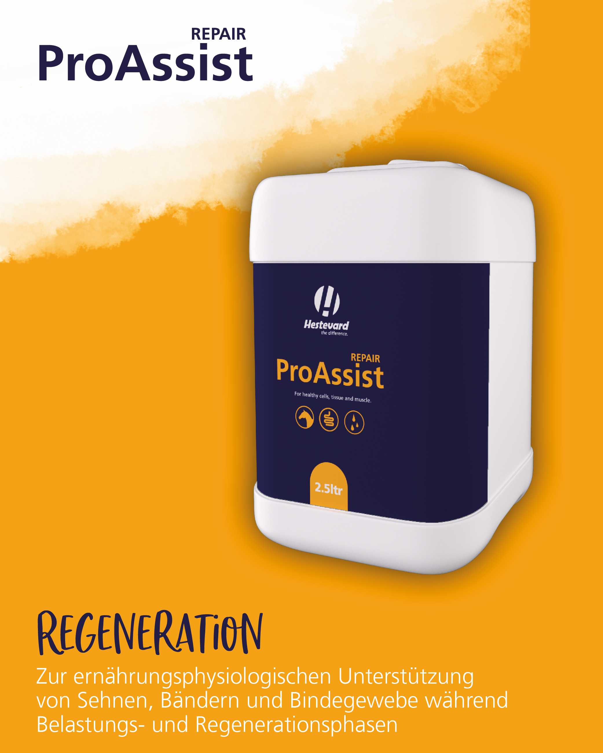 Hestevard ProAssist Repair