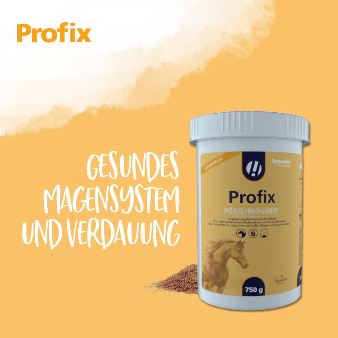 Hestevard Profix