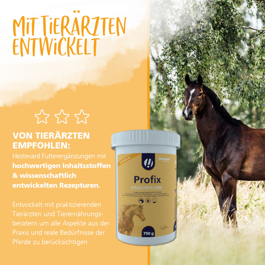Hestevard Profix
