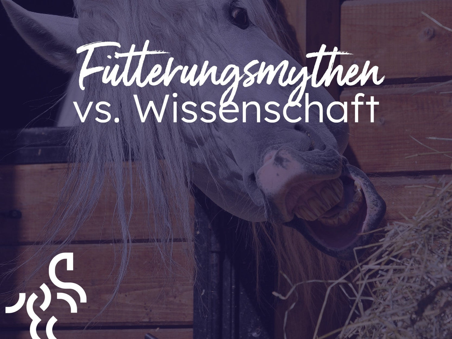 Fütterungsmythen vs. Wissenschaft: Was jeder Pferdebesitzer wissen sollte