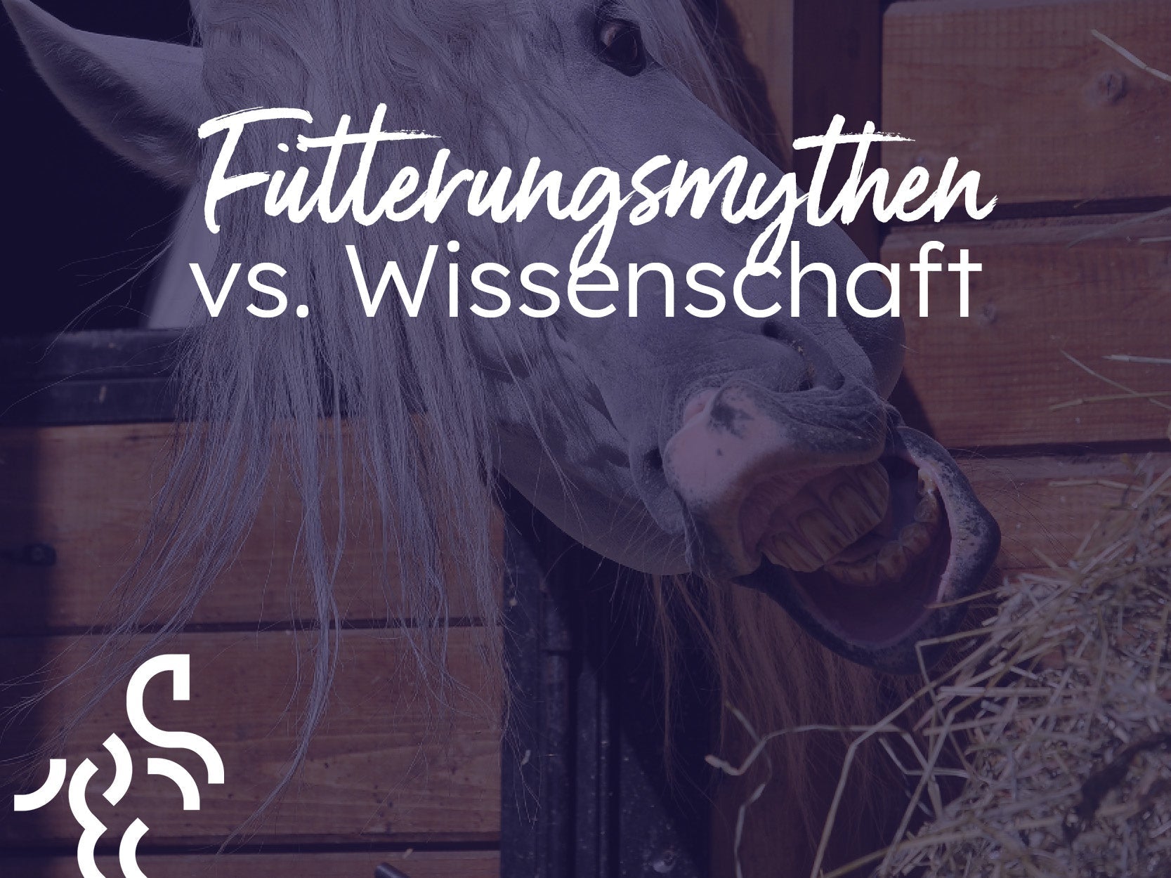 Fütterungsmythen vs. Wissenschaft: Was jeder Pferdebesitzer wissen sollte
