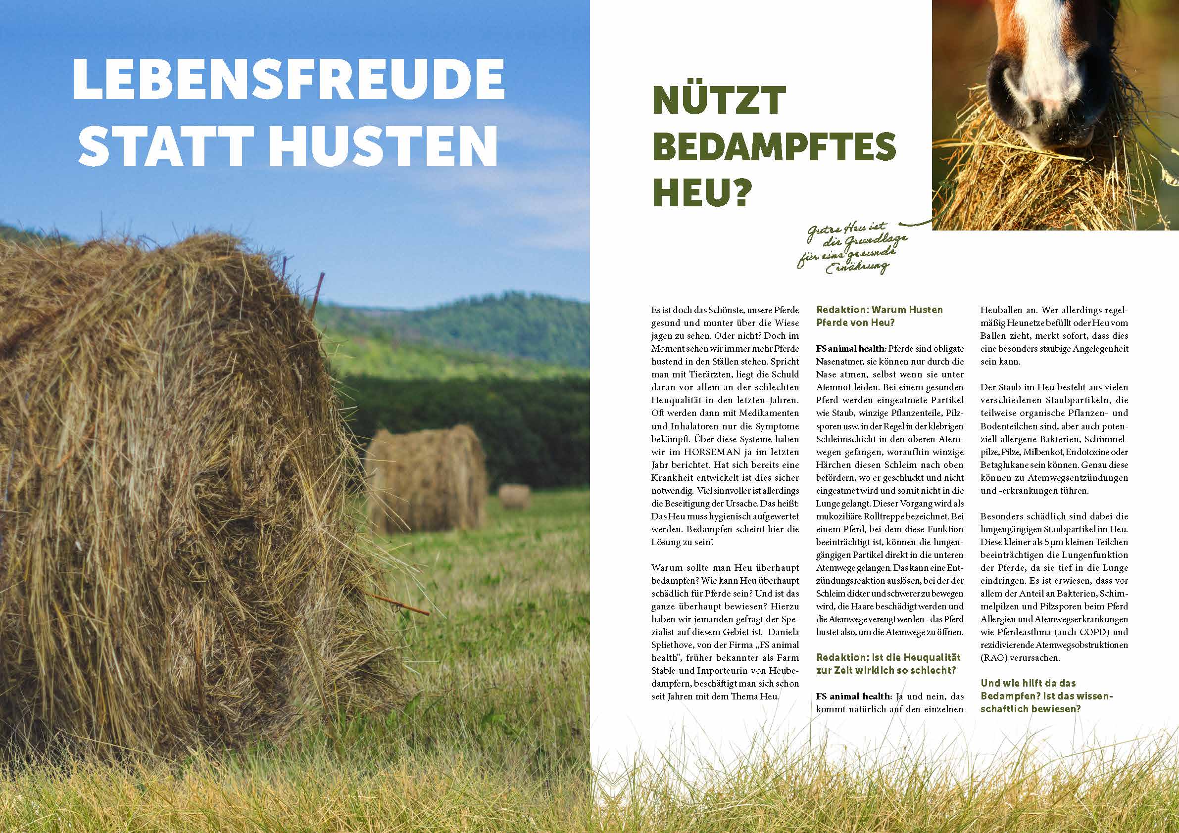 nuveq Interview im Horseman