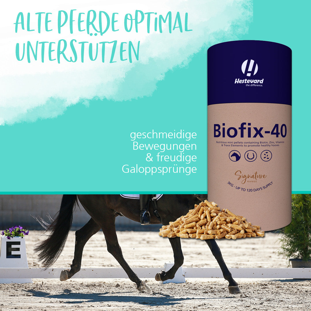 Hestevard Biofix-40