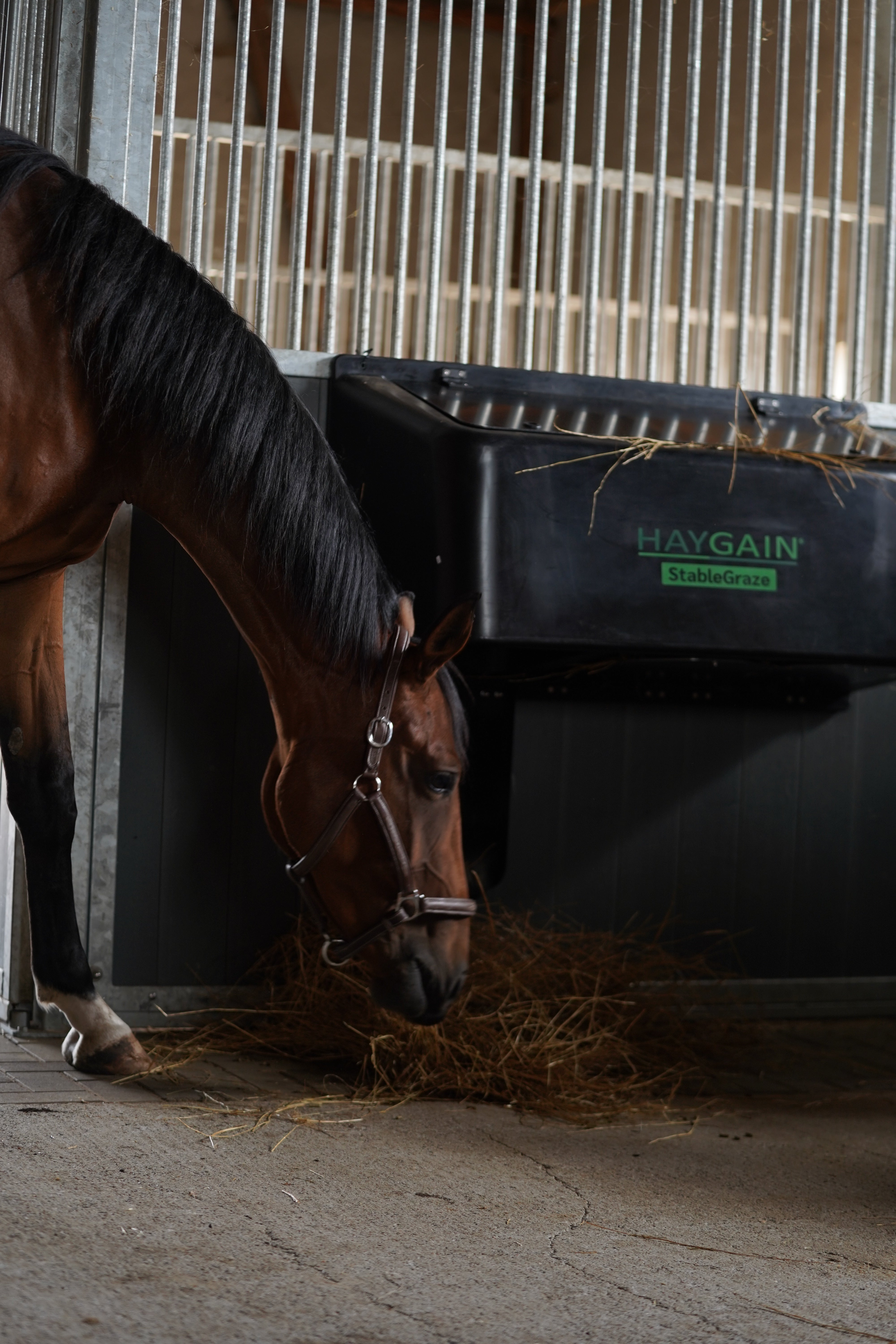 StableGraze hay feeder