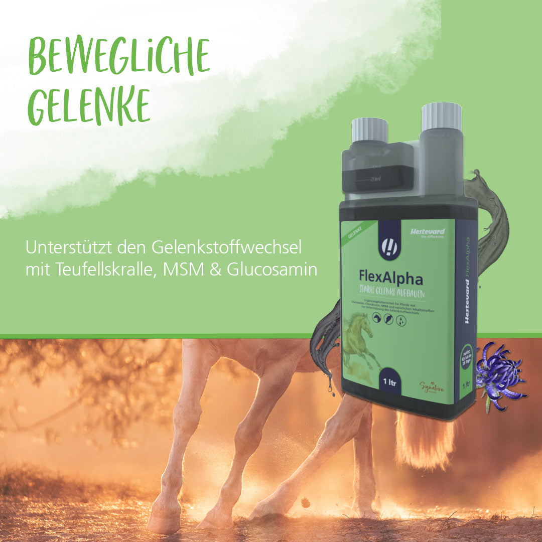 Hestevard FlexAlpha