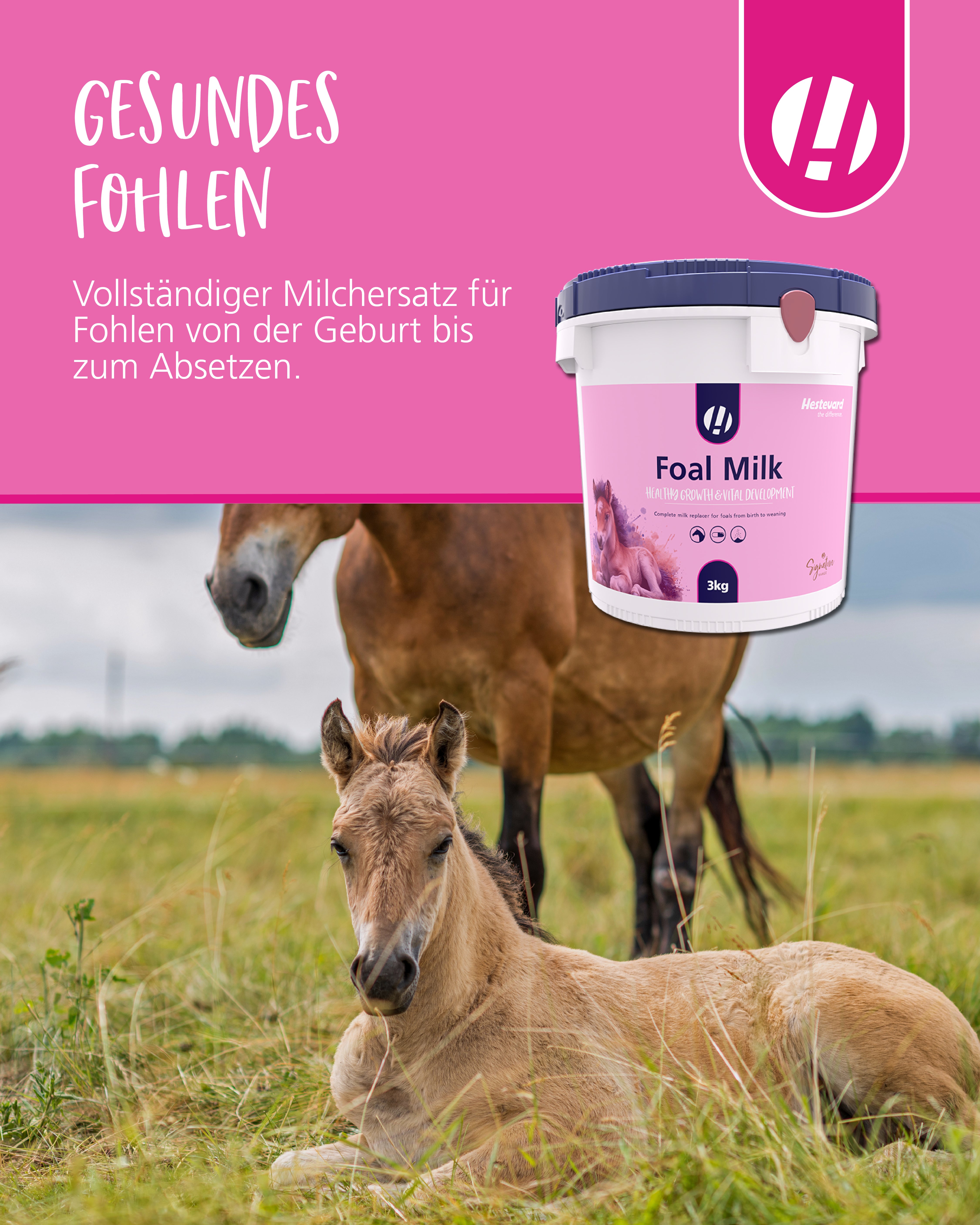 Hestevard Fohlenmilch Pulver