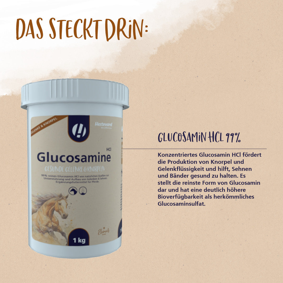 Hestevard Glucosamine