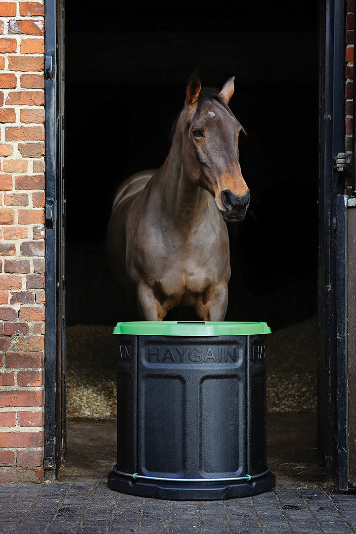 Haygain Forager Slow Feeder