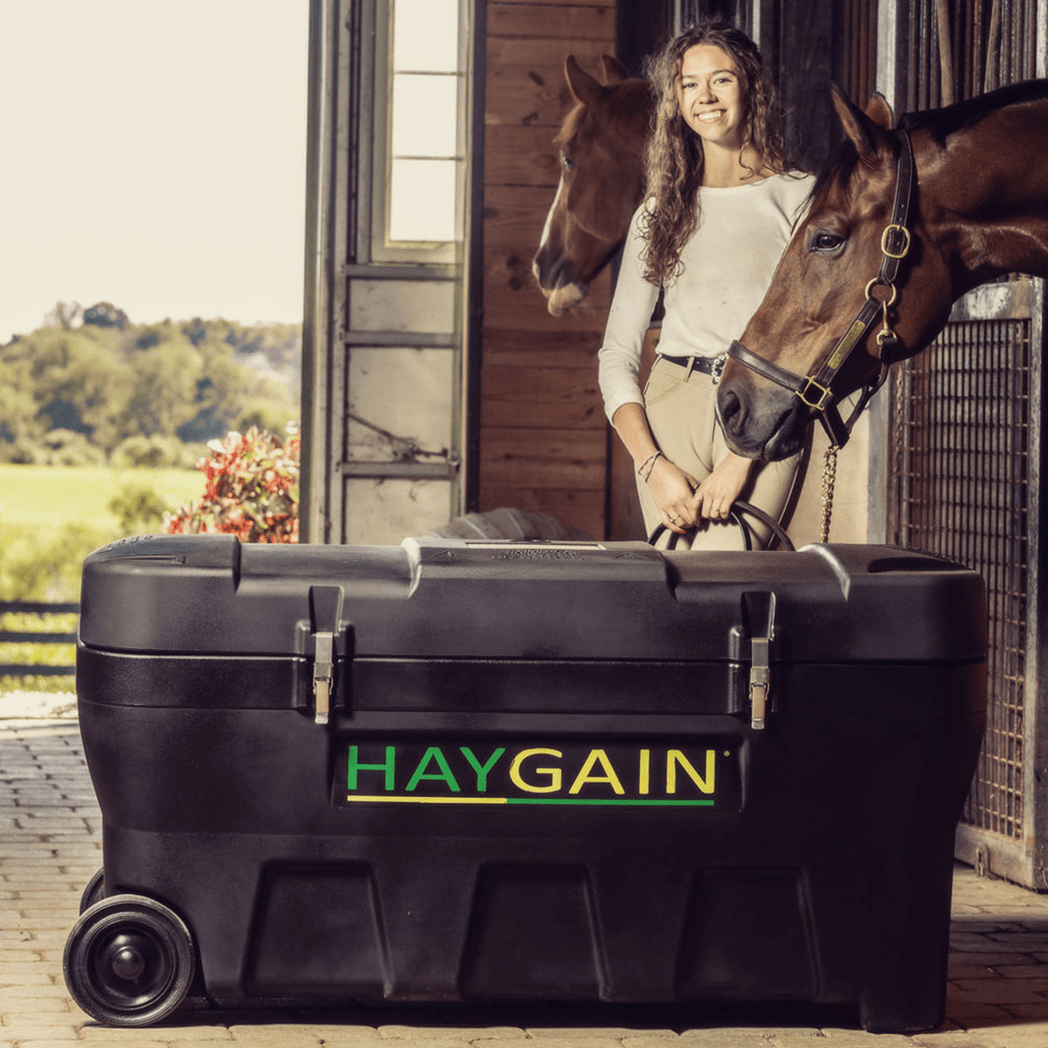 Haygain HG 2000 Heubedampfer