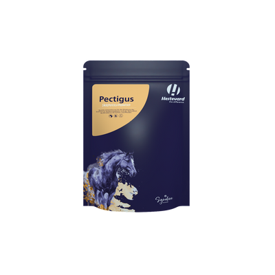 Hestevard Pectigus