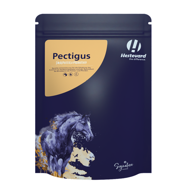 Hestevard Pectigus