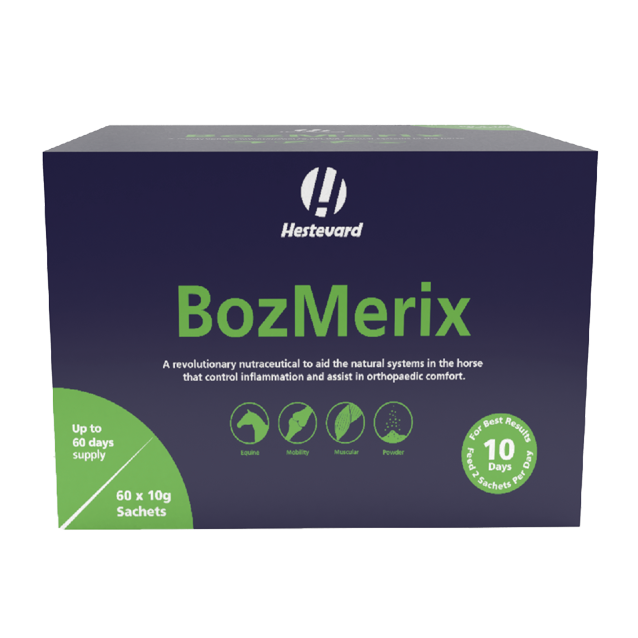 Hestevard BozMerix
