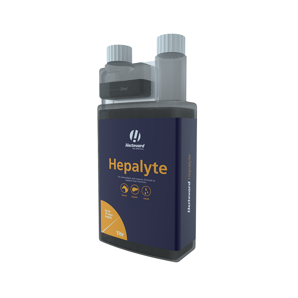 Hestevard Hepalyte