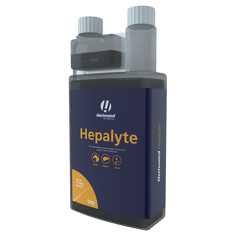 Hestevard Hepalyte 