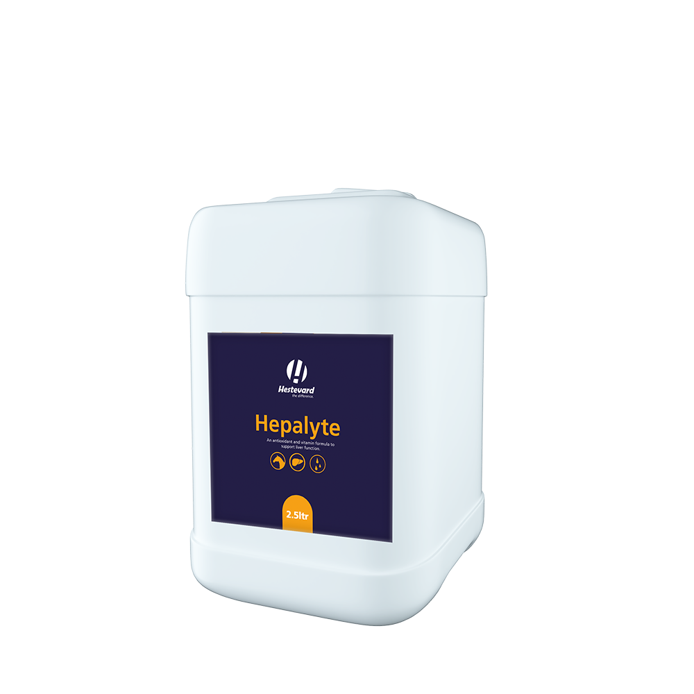 Hestevard Hepalyte
