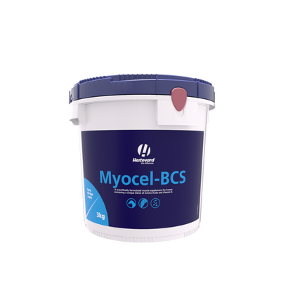 Hestevard Myocel-BCS