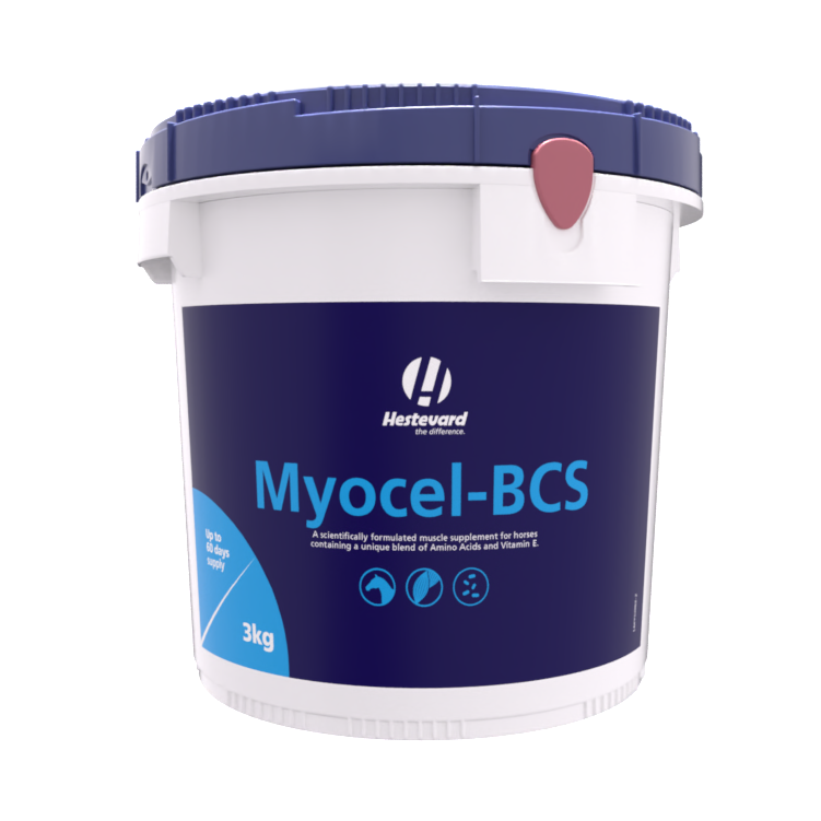 Hestevard Myocel-BCS