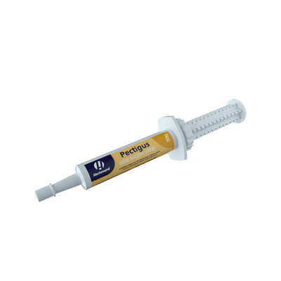 Hestevard Pectigus Paste