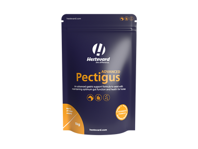 Hestevard Pectigus ADVANCED