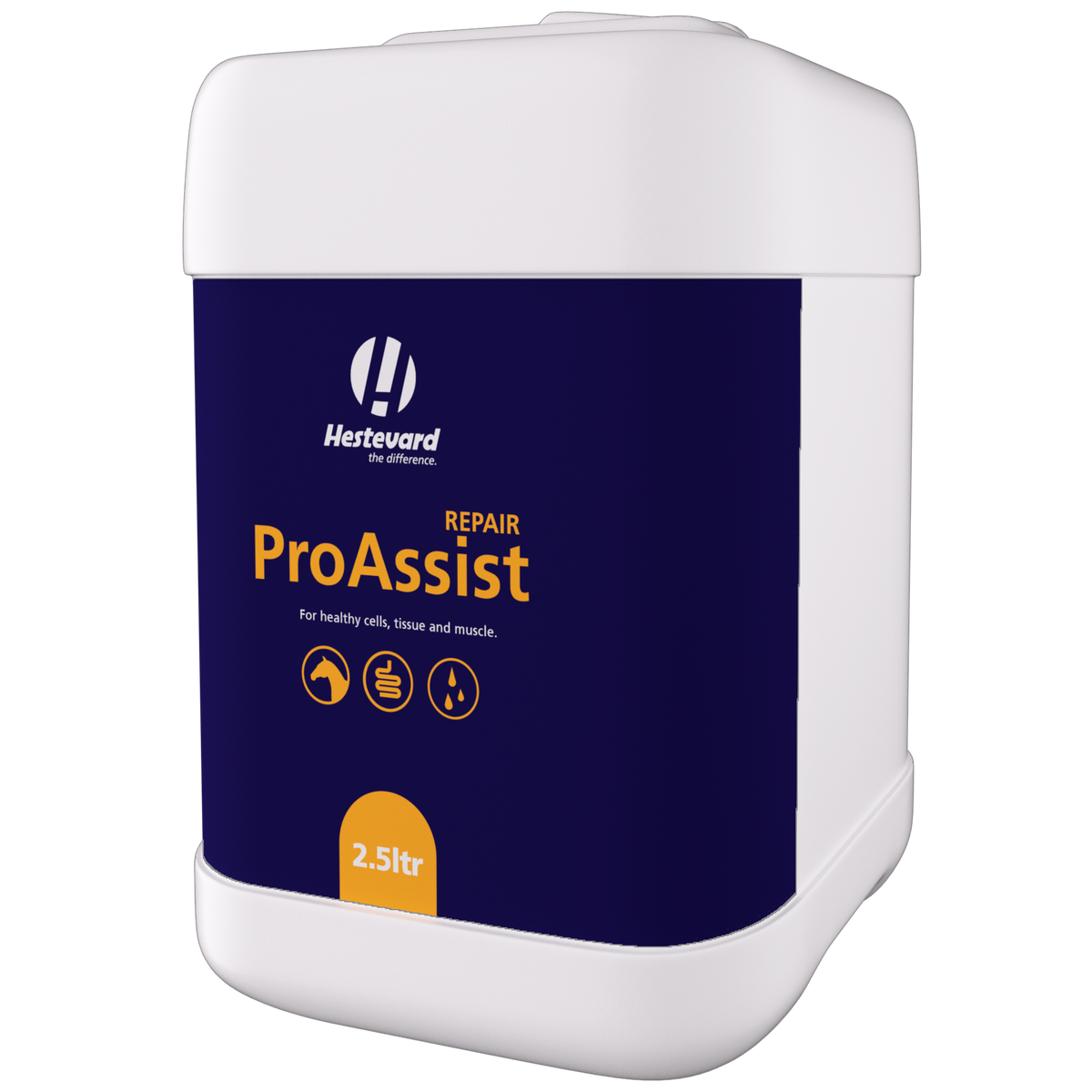 Hestevard ProAssist Repair
