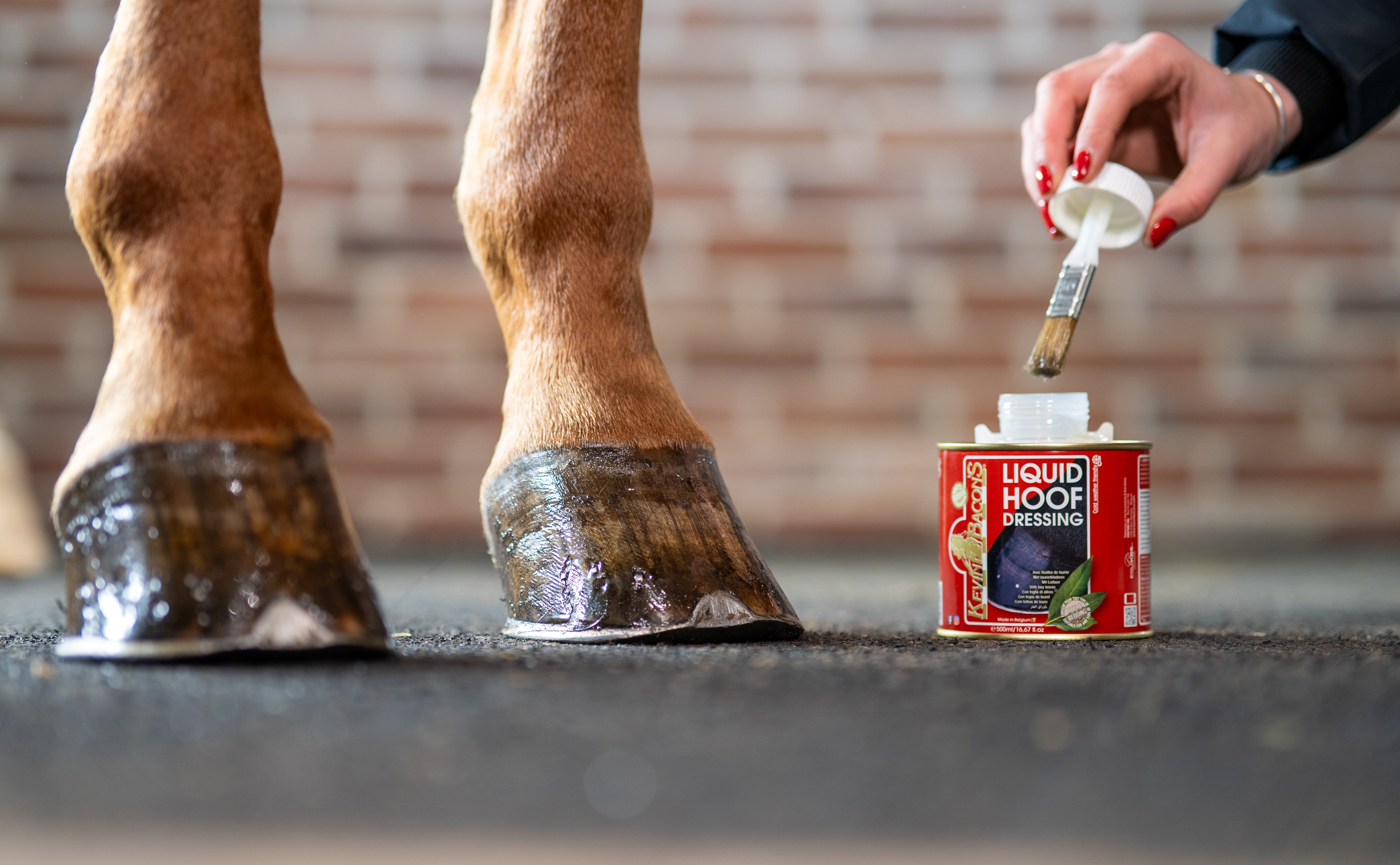 Kevin Bacon's LIQUID Hoof Dressing