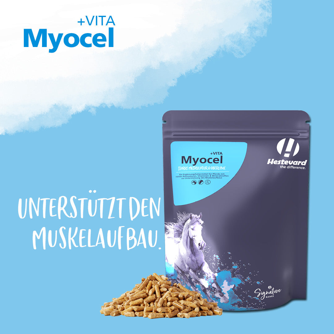 Hestevard Myocel+VITA