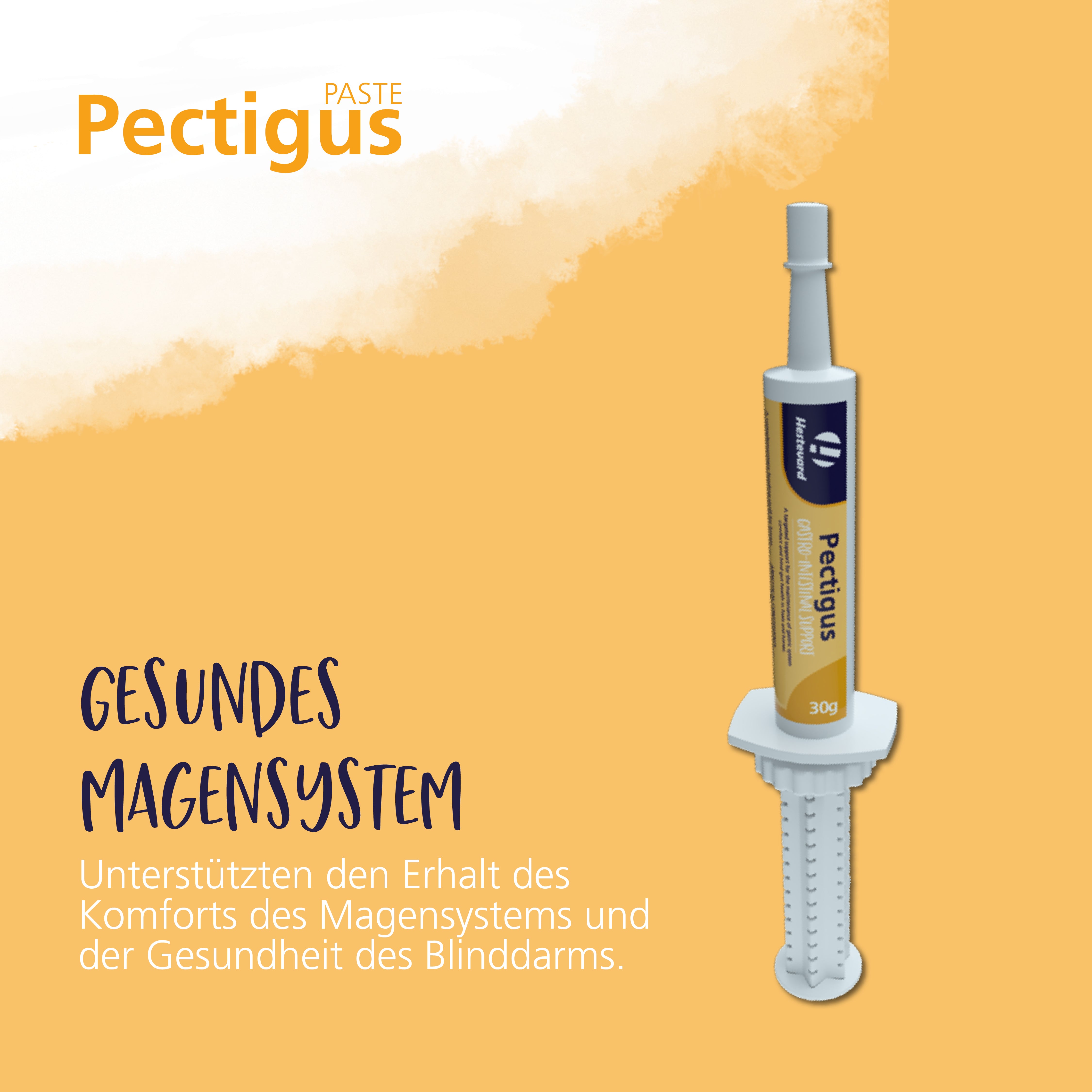 Hestevard Pectigus Paste