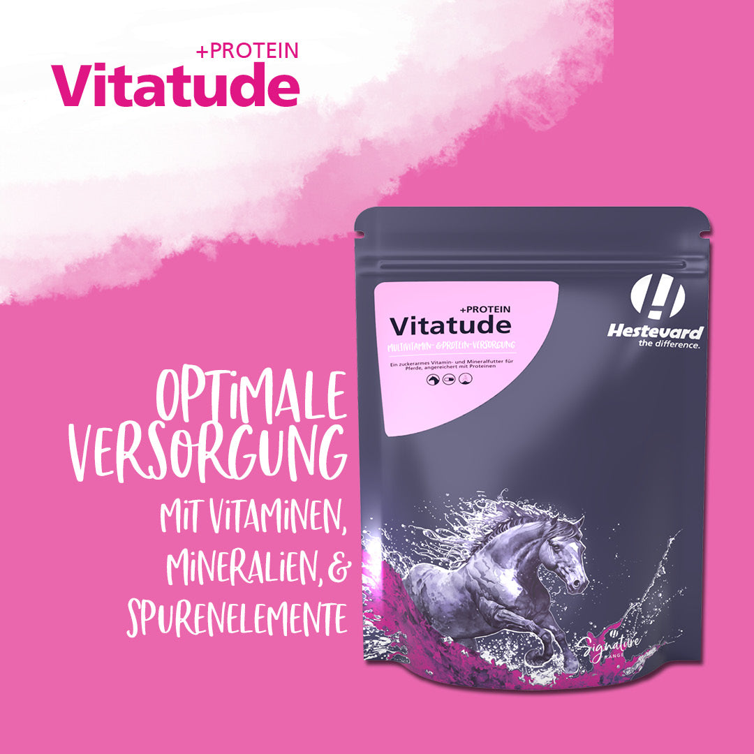 Hestevard Vitatude +PROTÉINE, 1,5kg 